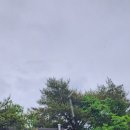 지리산구절초영농조합법인 이미지