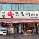 광릉왕꼼장어 이미지