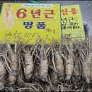 금산인삼사 이미지