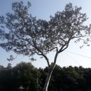 주식회사 백송 이미지