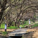 춘양면사무소 이미지