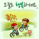 요이땅 Daum카페