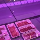 무궁화 한우 식육식당 이미지