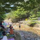 별천계곡 이미지