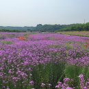 금호강변공원 화장실 이미지