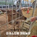 양지농장 | 용인 동물체험 포레스트벨 아이들과 하루종일 즐기는 자연 속 체험농장
