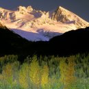 산에사네 이미지