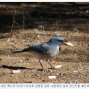땅콩 동물병원 이미지