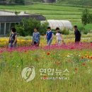 한경대학교부속농장 이미지