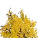 옥대3리 이미지