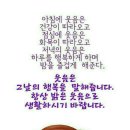 내장산캠핑카 이미지