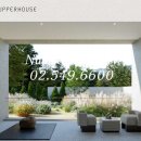 웰리스 복싱클럽 이미지