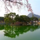 올바른마음