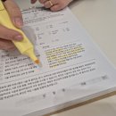 뷰티다올데이 | 무실동 왁싱 다올뷰티 토탈뷰티 브라질리언 왁싱 후기