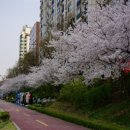 불광천 이미지
