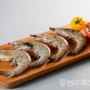 바다기획 이미지
