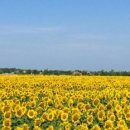 치유명상 심리상담연구소 이미지