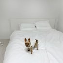 (주)식스티세컨즈 이미지