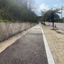 강남로(정상동) 이미지