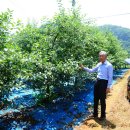 광전1리 이미지