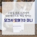 알파오메가약국 | 묘견서 오메가3 미니 (고양이·강아지 오메가3 추천) | 쫑이가 매일 먹는 영양제💊 내돈내산 솔직리뷰
