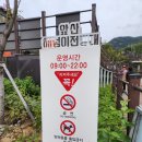 대구 남구 앞산 해넘이 전망대(대구야경맛집, 대구가 볼만한 곳, 대구 데이트, 주차정보, 앞산 하늘다리...