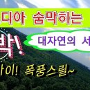 대박오토바이 - 금정구 금정로 129 | 대박오토바이