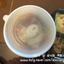 삼번가돈가스 네이버블로그