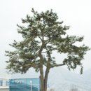 수북면사무소 이미지