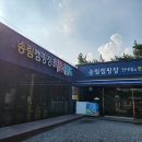 씨유 모항소나무에 노을점 | [충남 태안] 어은돌 송림캠핑장 방문 후기