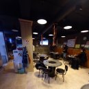 원조꼬리치는돼지 이미지