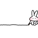 스피드메이트동탄중앙