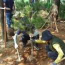 조경기능사 필기과정 이미지