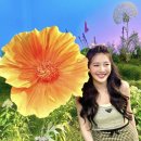 리얼스페인 이미지