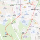 레츠크린 | 서울워킹페스티벌 2026 참가방법부터 일정까지 한 번에 정리