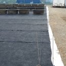 정렬농장 이미지