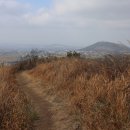 옥척지 이미지