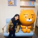 머리까까오 이미지