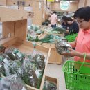 우성농협 이미지