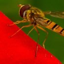 원당공원 화장실 이미지