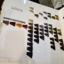 화영약국 이미지