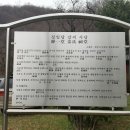 정일당강씨묘 이미지