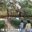 창조자연사박물관 | 시흥 아이랑가볼만한곳 <창조자연사박물관> 가성비 최고 박물관 乃