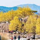 지리산연꽃마을