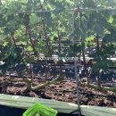 만천농장 이미지