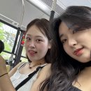 [서울] 익선동과 서순라길, 종로 청계천 그리고 해방촌 (feat.국립현대미술관, 국립민속박물관 전시)