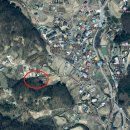 뉴홍천공인중개사 이미지