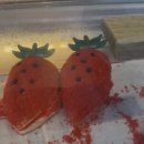 브루다 양주 | [공지] 양주 브루다 베이커리 솔직 후기 뷰 맛집 베이커리 카페