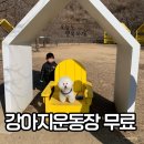동네 운동장 | 가평휴게소 춘천방향 전기차 충전소 및 무료 강아지 운동장 춘천 여행 코스 후기