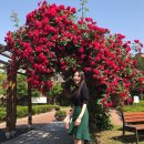 하난곡작은도서관 이미지